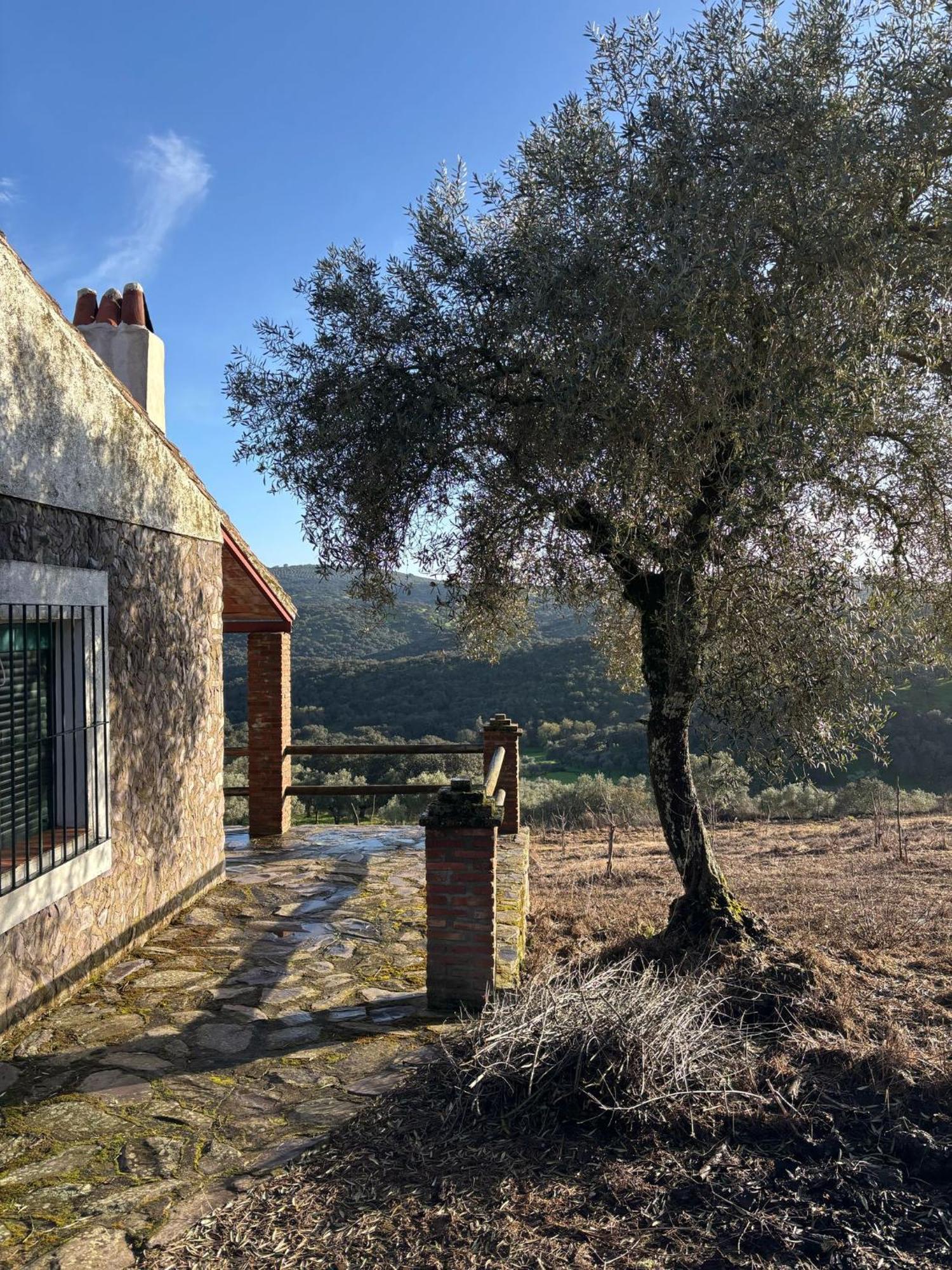 Fuentes de León Casas Rurales Los Llanos מראה חיצוני תמונה