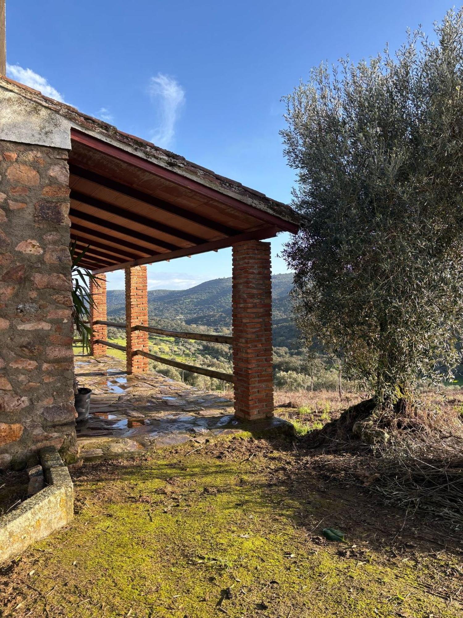 Fuentes de León Casas Rurales Los Llanos מראה חיצוני תמונה