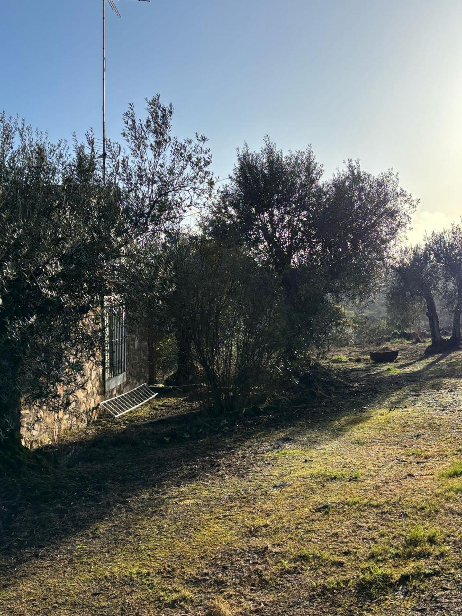 Fuentes de León Casas Rurales Los Llanos מראה חיצוני תמונה