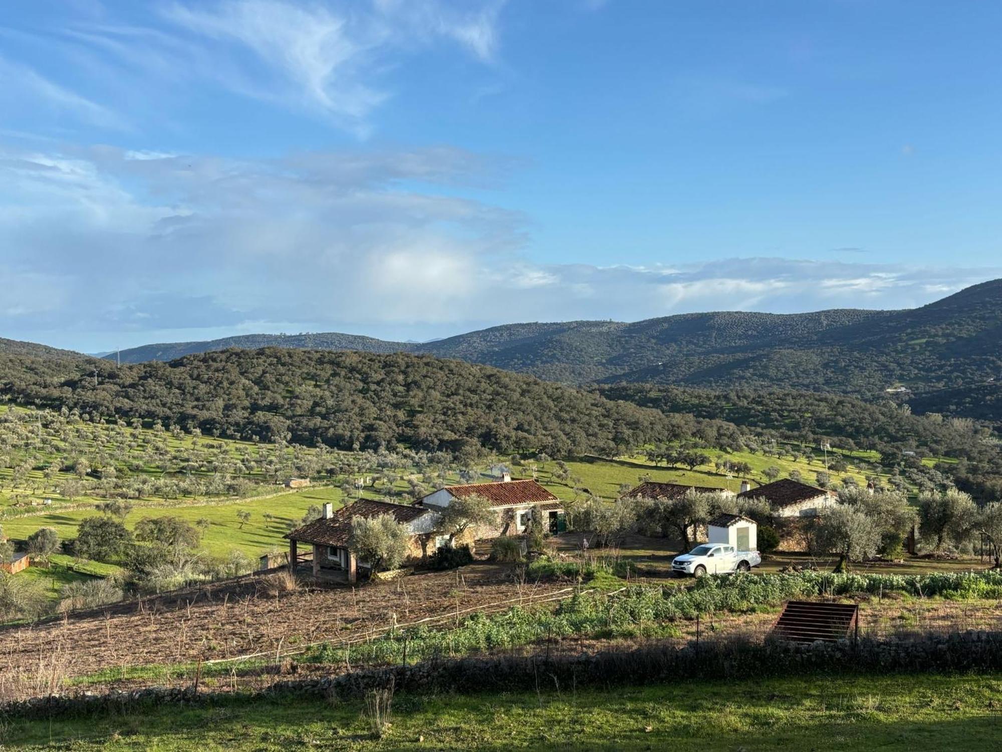 Fuentes de León Casas Rurales Los Llanos מראה חיצוני תמונה