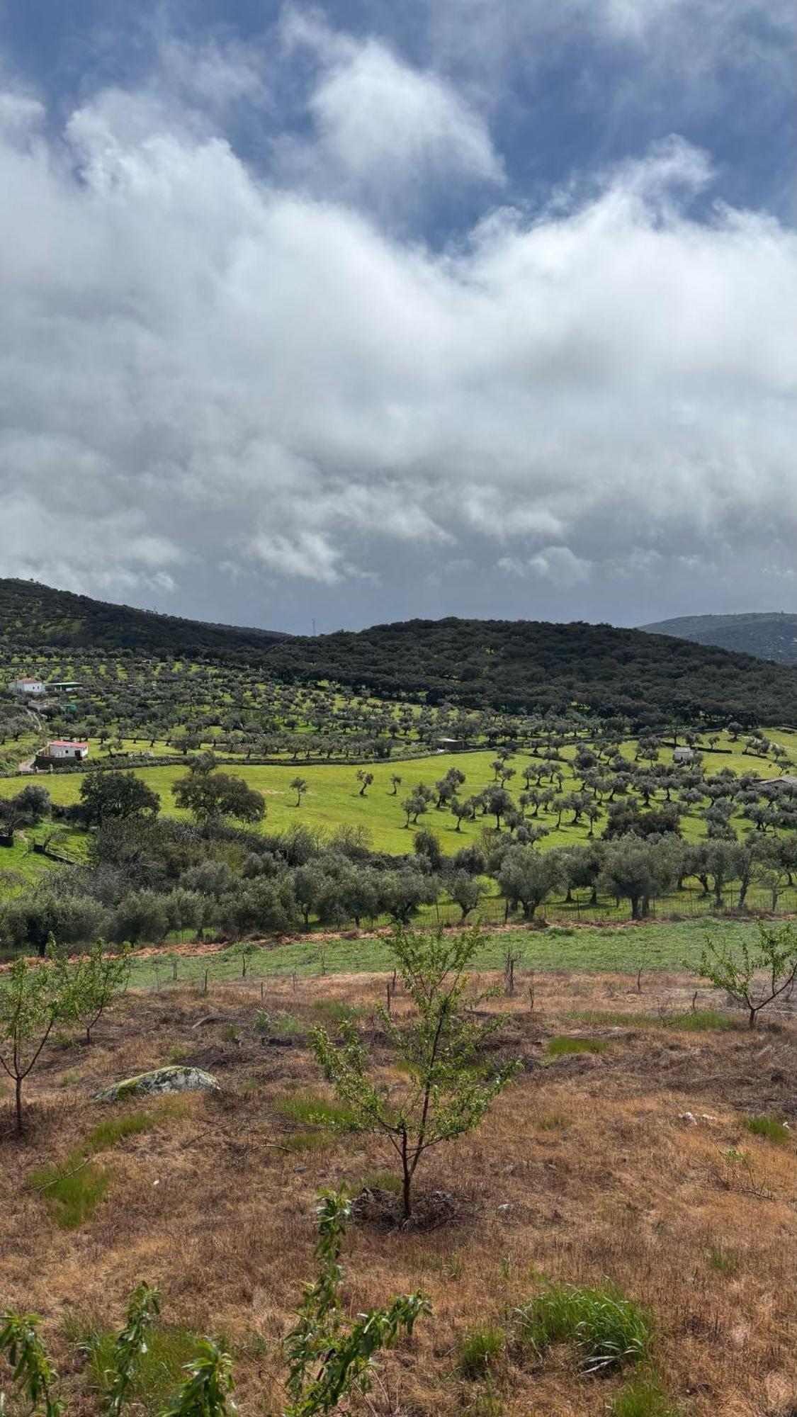 Fuentes de León Casas Rurales Los Llanos מראה חיצוני תמונה